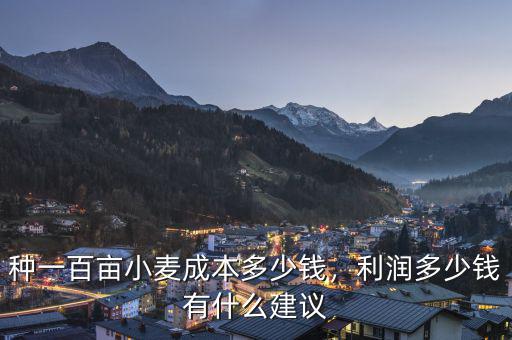 種一百畝小麥成本多少錢，利潤多少錢有什么建議