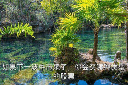 如果下一波牛市來了，你會買哪種類型的股票
