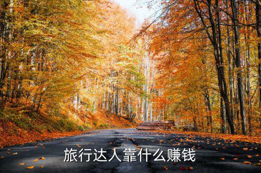 旅行達(dá)人靠什么賺錢(qián)