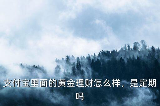 支付寶里面的黃金理財(cái)怎么樣，是定期嗎