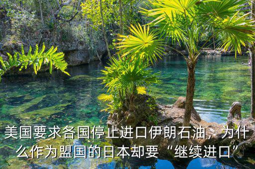 美國要求各國停止進(jìn)口伊朗石油，為什么作為盟國的日本卻要“繼續(xù)進(jìn)口”