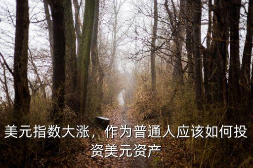 美元指數(shù)大漲，作為普通人應(yīng)該如何投資美元資產(chǎn)