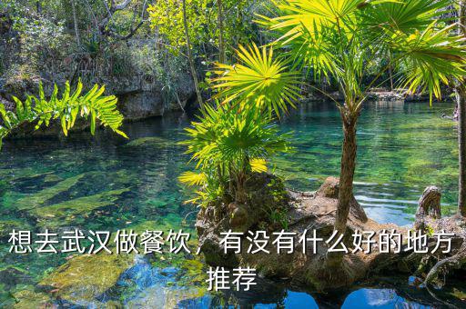 想去武漢做餐飲，有沒有什么好的地方推薦