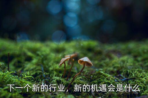 下一個新的行業(yè)，新的機遇會是什么