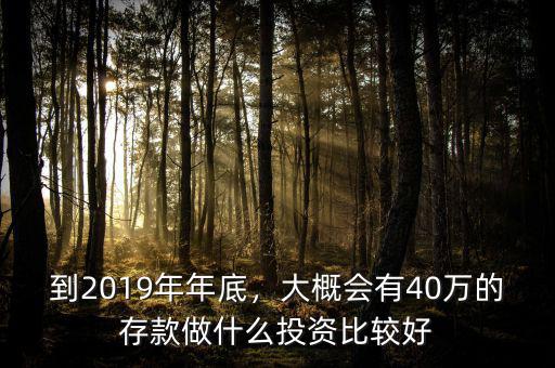 到2019年年底，大概會(huì)有40萬(wàn)的存款做什么投資比較好