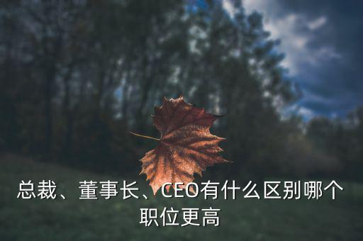 總裁、董事長、CEO有什么區(qū)別哪個職位更高