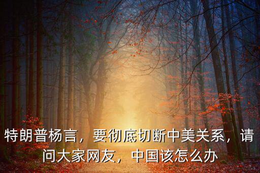 特朗普楊言，要徹底切斷中美關(guān)系，請問大家網(wǎng)友，中國該怎么辦