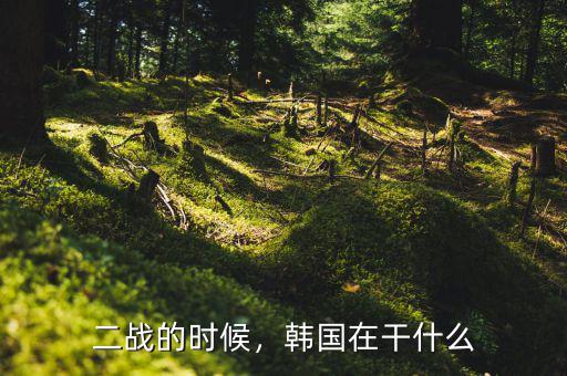 肖剛二會(huì)在干什么,韓國在干什么