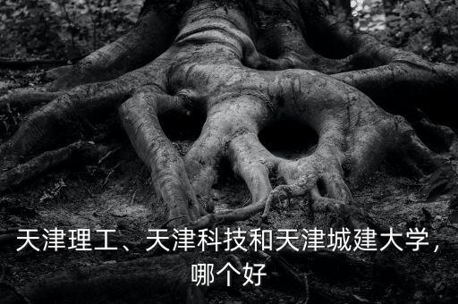 天津理工、天津科技和天津城建大學，哪個好