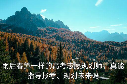 雨后春筍一樣的高考志愿規(guī)劃師，真能指導(dǎo)報(bào)考、規(guī)劃未來嗎