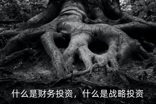 什么是財務投資，什么是戰(zhàn)略投資