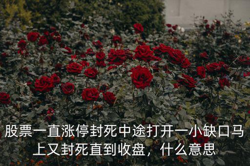 股票一直漲停封死中途打開一小缺口馬上又封死直到收盤，什么意思