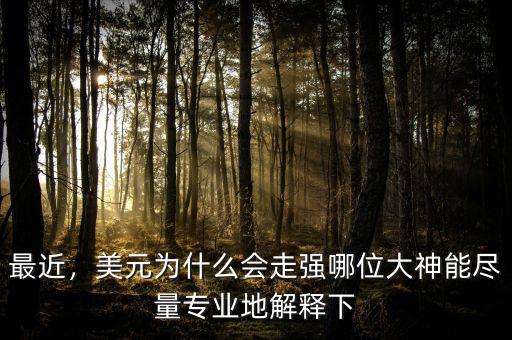 最近，美元為什么會走強(qiáng)哪位大神能盡量專業(yè)地解釋下