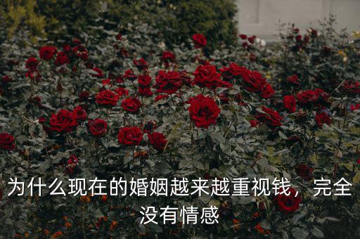 為什么現(xiàn)在的婚姻越來(lái)越重視錢(qián)，完全沒(méi)有情感