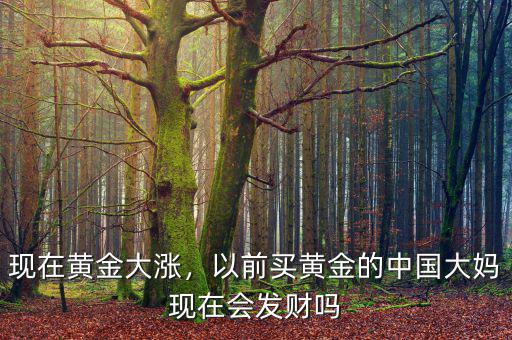 現(xiàn)在黃金大漲，以前買黃金的中國(guó)大媽現(xiàn)在會(huì)發(fā)財(cái)嗎