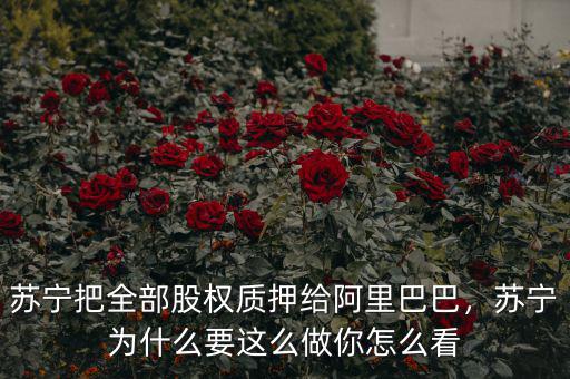 蘇寧把全部股權(quán)質(zhì)押給阿里巴巴，蘇寧為什么要這么做你怎么看