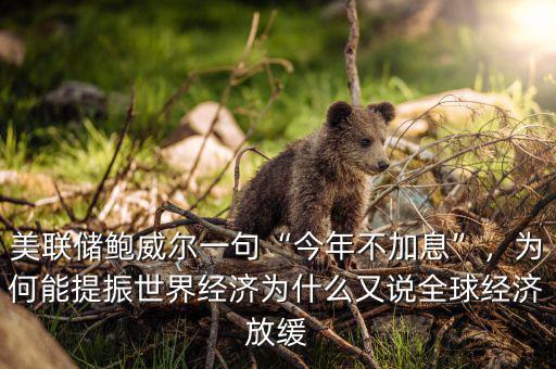 美聯(lián)儲鮑威爾一句“今年不加息”，為何能提振世界經(jīng)濟(jì)為什么又說全球經(jīng)濟(jì)放緩