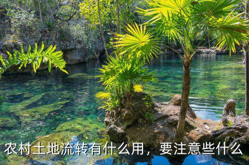 農(nóng)村土地流轉(zhuǎn)有什么用，要注意些什么