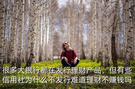 很多大銀行都在發(fā)行理財產(chǎn)品，但有些信用社為什么不發(fā)行難道理財不賺錢嗎