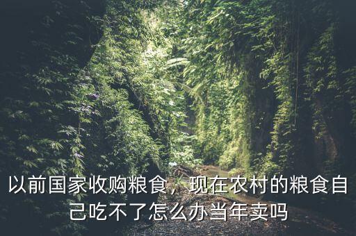 以前國家收購糧食，現(xiàn)在農(nóng)村的糧食自己吃不了怎么辦當(dāng)年賣嗎