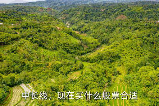 中長線，現(xiàn)在買什么股票合適