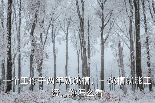 一個(gè)工作干兩年就跳槽，一跳槽就漲工資，你怎么看