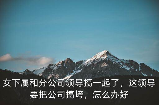 女下屬和分公司領導搞一起了，這領導要把公司搞垮，怎么辦好