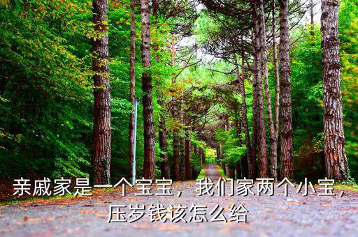 親戚家是一個寶寶，我們家兩個小寶，壓歲錢該怎么給