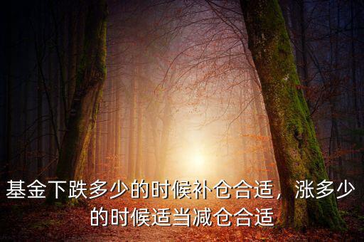 基金下跌多少的時候補倉合適，漲多少的時候適當減倉合適