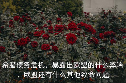 希臘債務(wù)危機(jī)，暴露出歐盟的什么弊端，歐盟還有什么其他致命問(wèn)題