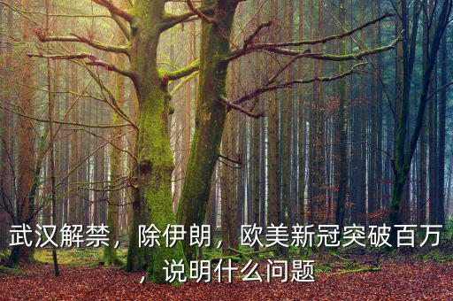 武漢解禁，除伊朗，歐美新冠突破百萬，說明什么問題