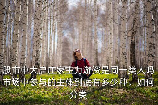 股市中大戶莊家主力游資是同一類人嗎市場中參與的主體到底有多少種，如何分類