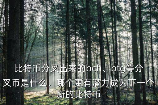 比特幣分叉出來的bch、btg等分叉幣是什么，哪個更有潛力成為下一個新的比特幣