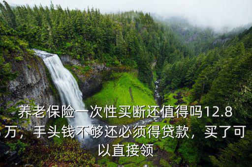 養(yǎng)老保險一次性買斷還值得嗎12.8萬，手頭錢不夠還必須得貸款，買了可以直接領(lǐng)