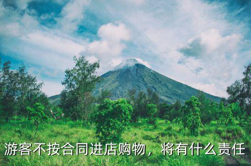 游客不按合同進店購物，將有什么責任