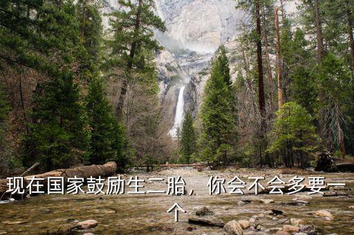 現(xiàn)在國(guó)家鼓勵(lì)生二胎，你會(huì)不會(huì)多要一個(gè)