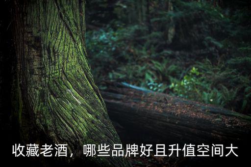 收藏老酒，哪些品牌好且升值空間大