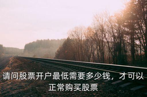 請問股票開戶最低需要多少錢，才可以正常購買股票