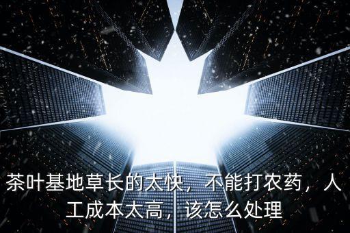 茶葉基地草長(zhǎng)的太快，不能打農(nóng)藥，人工成本太高，該怎么處理