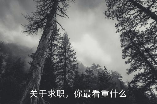 關(guān)于求職，你最看重什么