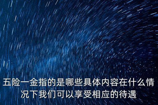 五險一金指的是哪些具體內(nèi)容在什么情況下我們可以享受相應的待遇