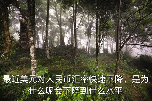 最近美元對人民幣匯率快速下降，是為什么呢會下降到什么水平