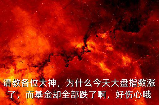 請(qǐng)教各位大神，為什么今天大盤指數(shù)漲了，而基金卻全部跌了啊，好傷心哦