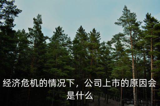 經(jīng)濟(jì)危機(jī)的情況下，公司上市的原因會是什么