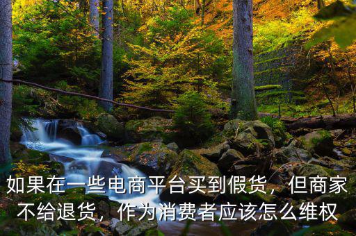 如果在一些電商平臺買到假貨，但商家不給退貨，作為消費者應(yīng)該怎么維權(quán)