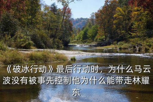 《破冰行動》最后行動時，為什么馬云波沒有被事先控制他為什么能帶走林耀東