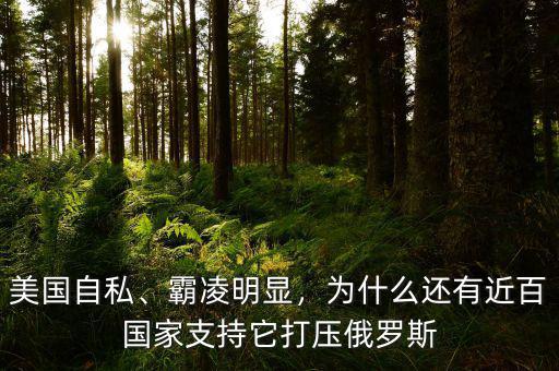 美國自私、霸凌明顯，為什么還有近百國家支持它打壓俄羅斯