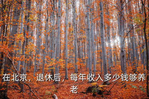 在北京，退休后，每年收入多少錢夠養(yǎng)老