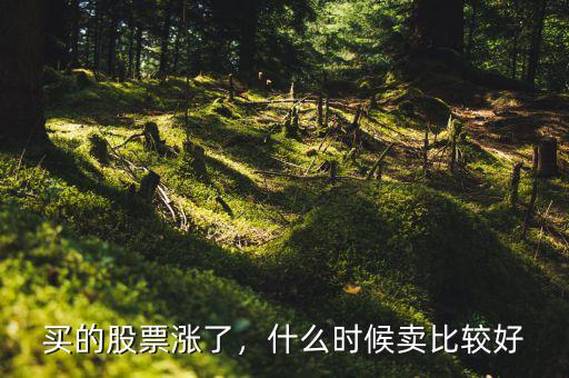 買(mǎi)的股票漲了，什么時(shí)候賣(mài)比較好