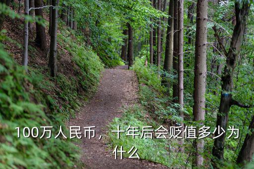 100萬人民幣，十年后會貶值多少為什么